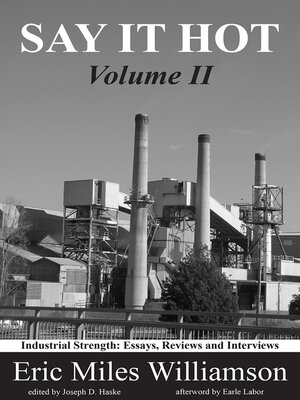cover image of Say It Hot, Volume II